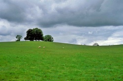 21 - Rolling hills.jpg