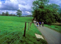 26 - Returning to the car park.jpg