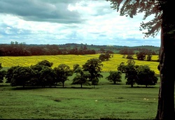 4 - GeeBee country at last.jpg