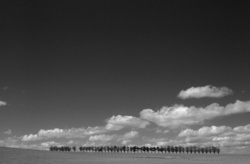 Yarra Valley