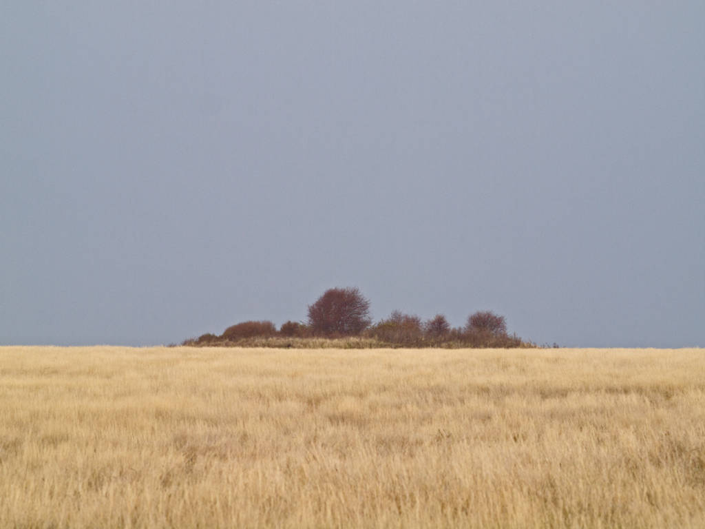 prairie0546.jpg