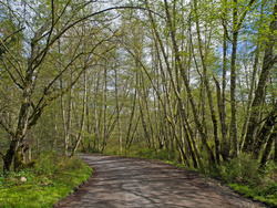 road8737.jpg
