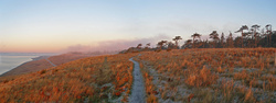 First Light