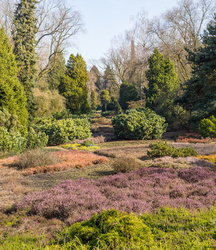 Stitched view
