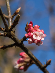 Spring!