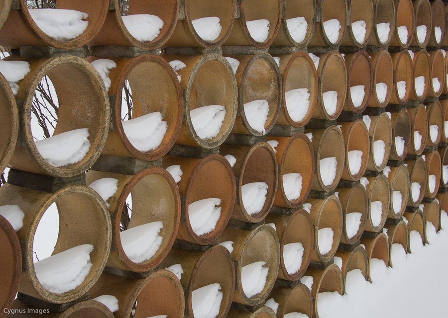 Circles In The Snow
