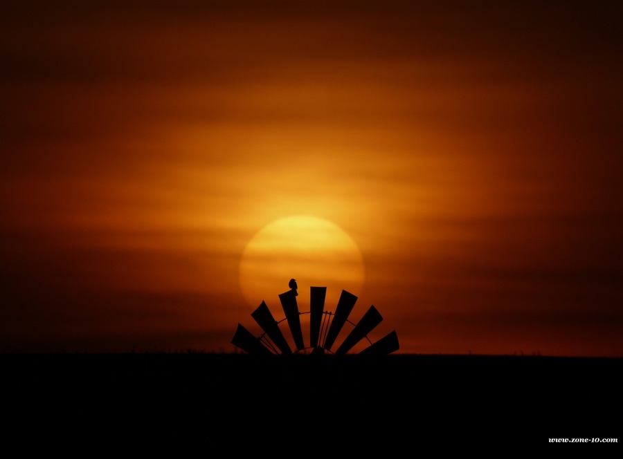 sun-bird-windmill