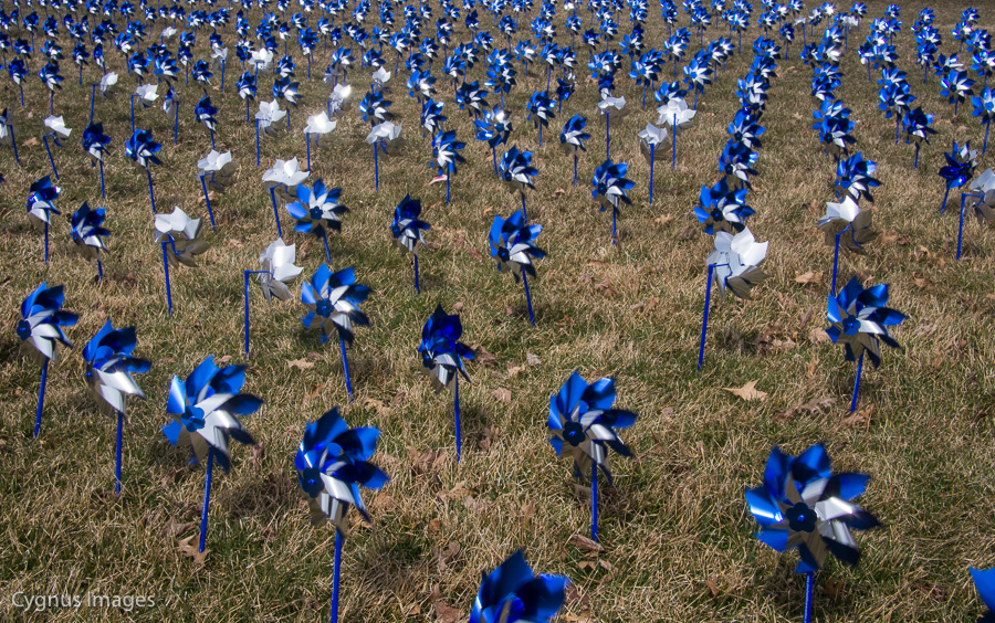 Field Of Hope