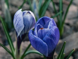 P4070164w