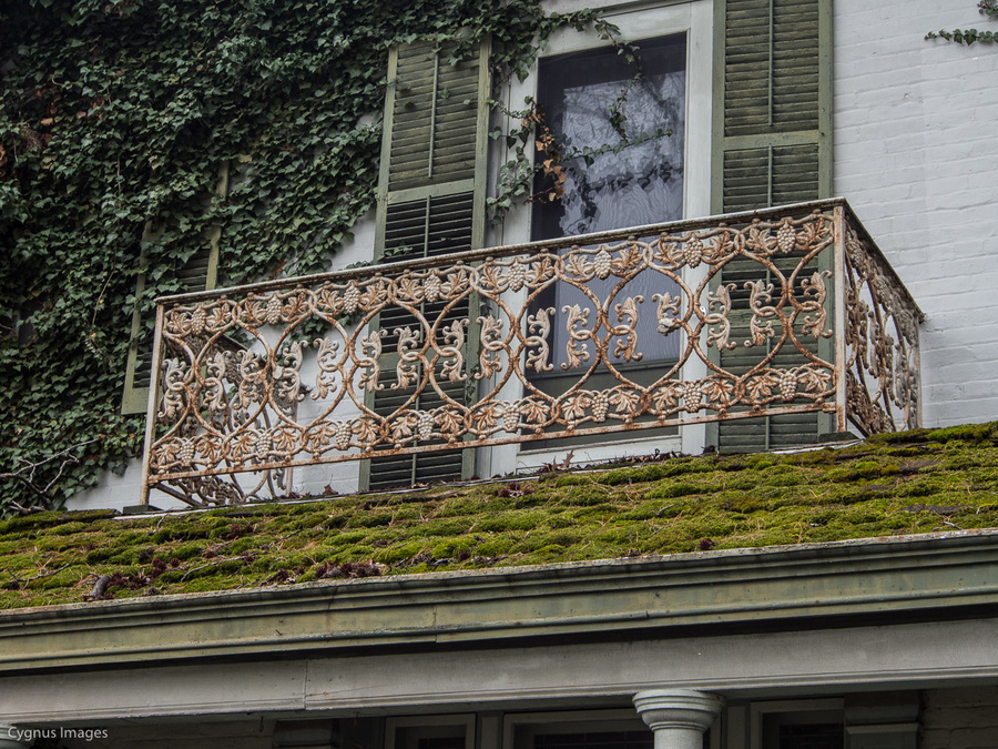 Balcony And Greenery