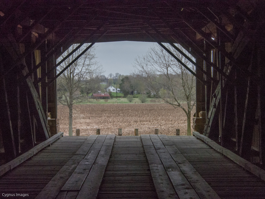 Through The Bridge, Darkly