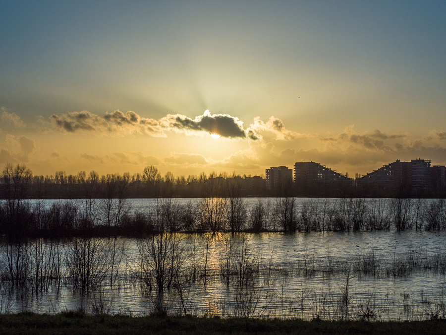 20130101-FMW16398