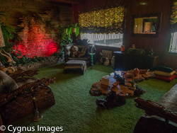 The Jungle Room