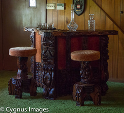 Jungle Room Bar