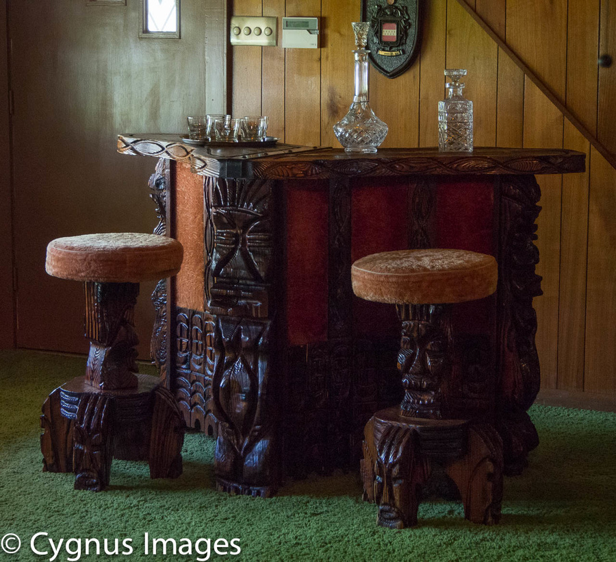 Jungle Room Bar