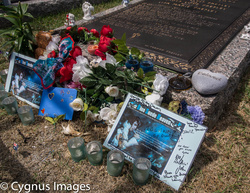 Fan Tributes