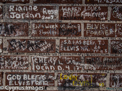 Fan Grafitti I