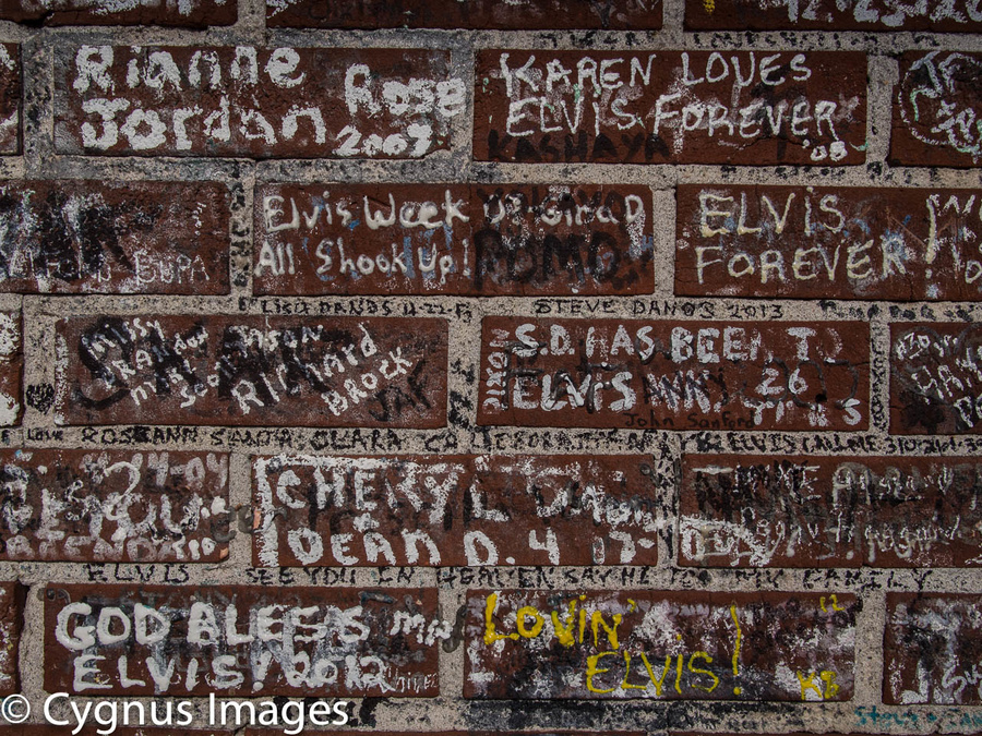 Fan Grafitti I