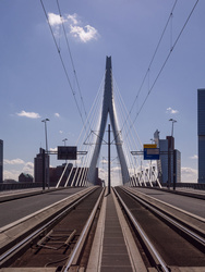 Erasmus bridge