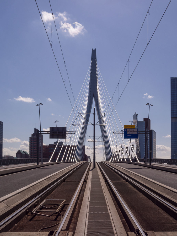 Erasmus bridge