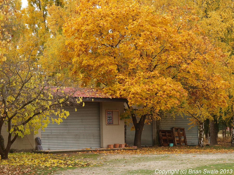 The Stone House orchard.