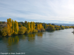 Clutha River from Alex. bridge