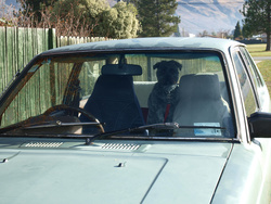 1983 Toyota Starlet Sprint