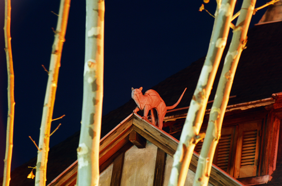 Tin Cat on a Hot Roof