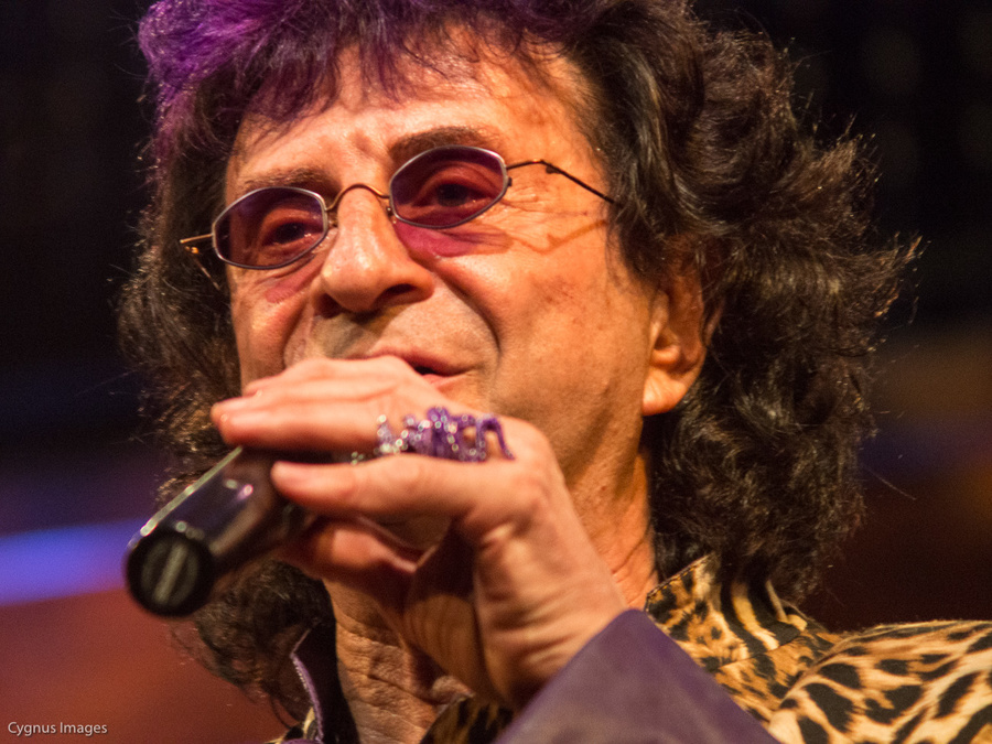 Jim Peterik