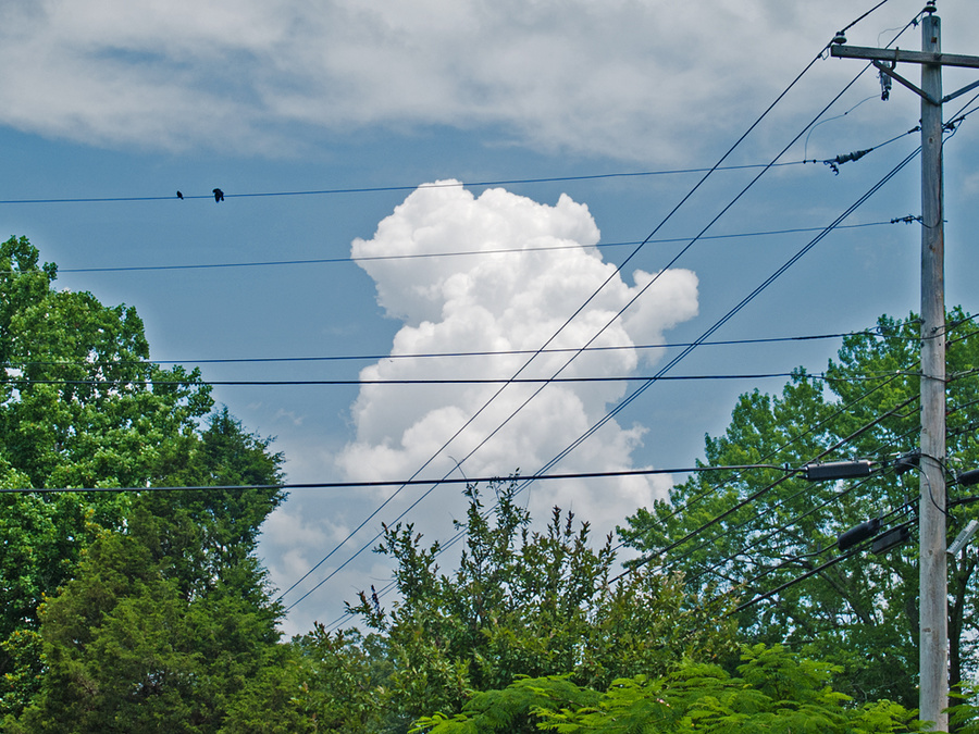 Two Birds & a Buildup