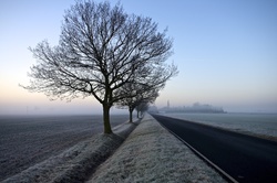 D2012_CB_1967 Frost