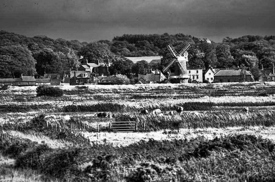 D2011_IMG1414 Blakeney