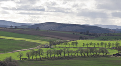 Corrachie_Pano.jpg