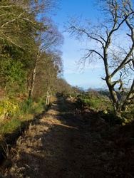 Drove road