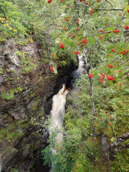 Corrieshalloch_Gorge.jpg