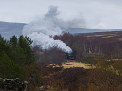 North Briton