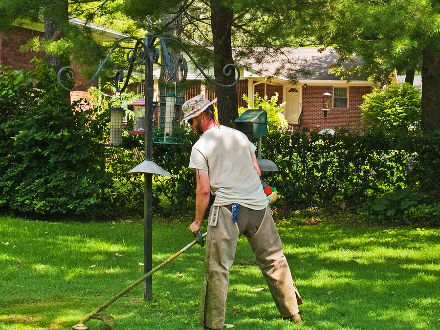 Josh, Master of the Trimmer