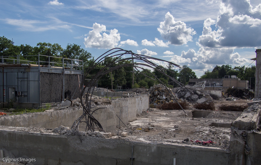 Rebars Over Radiology