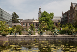 Leiden