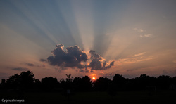 Sunset Glory