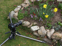 E-3 and Zuiko 135/4