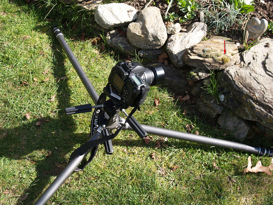 E-3 set-up using Sigma 90/2.8 macro