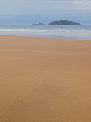 P9142323-2.jpg