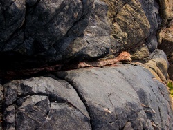 P9142353-5.jpg