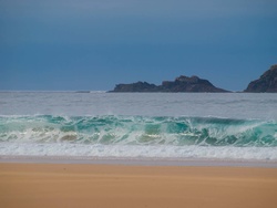 P9142391-10.jpg