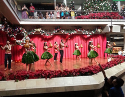2012-12-15-13.18-psw