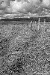 D2013_DSF1785 Durness