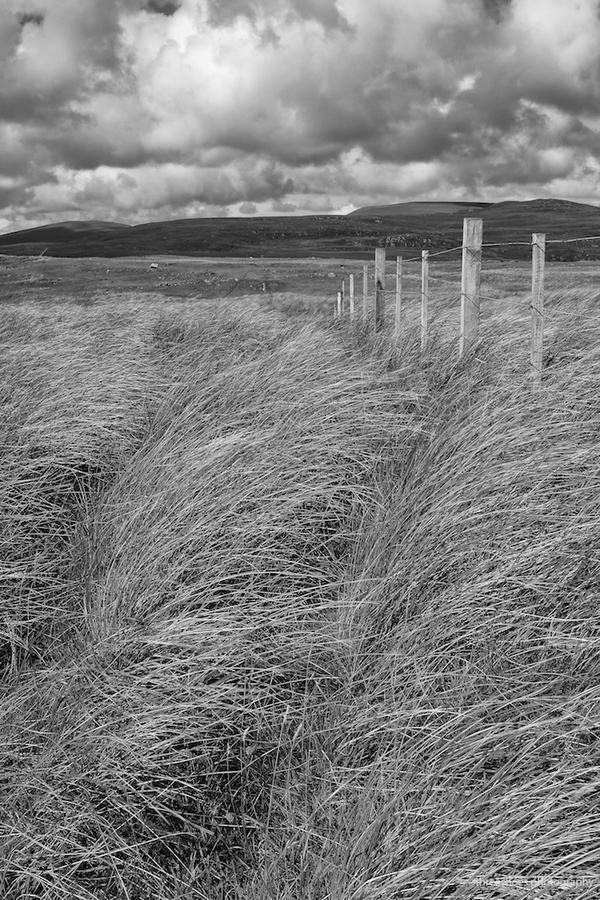D2013_DSF1785 Durness