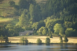 D2013_CB_1047 Tummel