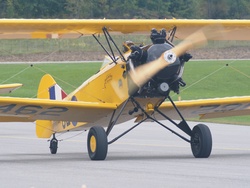 Fleet Finch